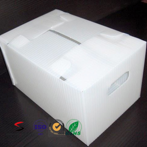 PP Polypropylene Fruit and Vegetable Packing Box with Printing Folding Box